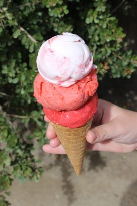 גלידה מוסלין ירושלים